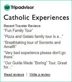 Trip Advisor Reviews